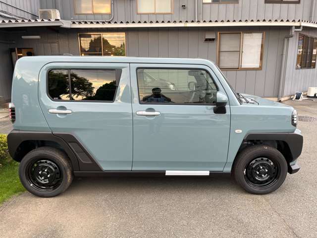 Daihatsu Taft 7