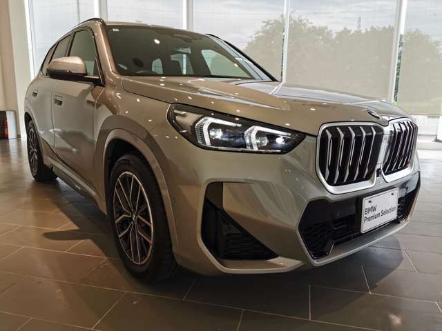 BMW X1 9