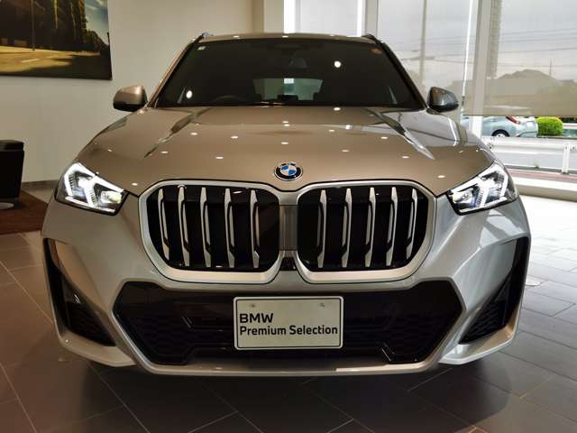BMW X1 10
