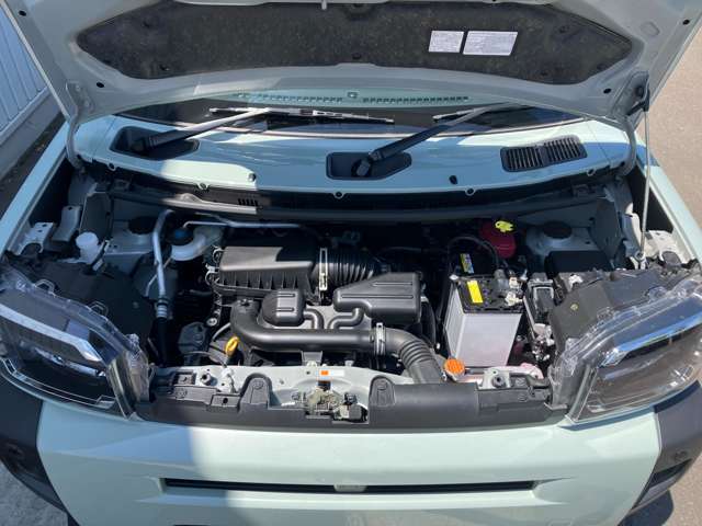Daihatsu Taft 6