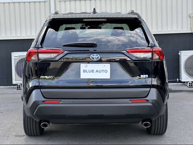 Toyota RAV4 10