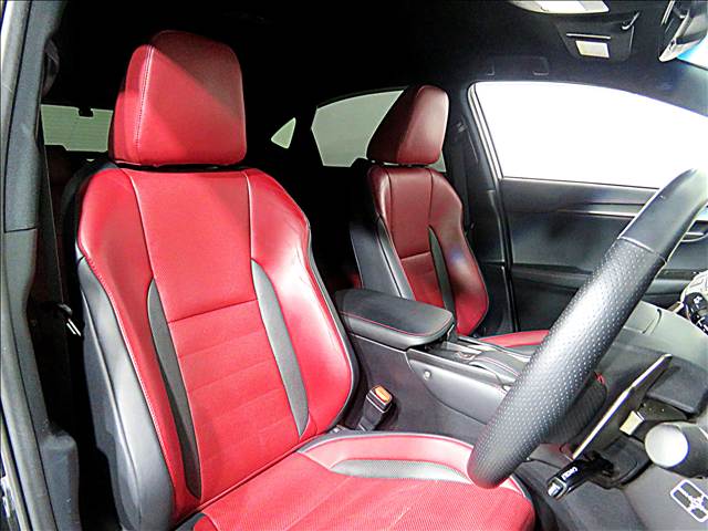 Lexus NX 12