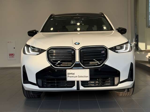 BMW X3 6