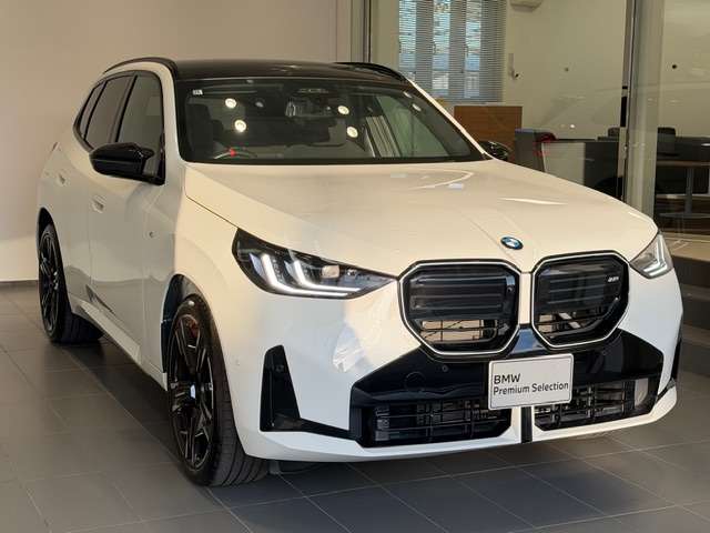 BMW X3 7