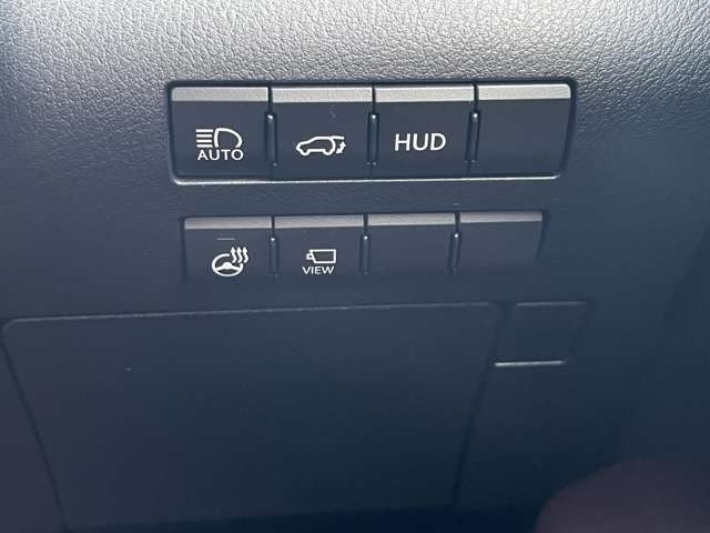 Lexus RX 12