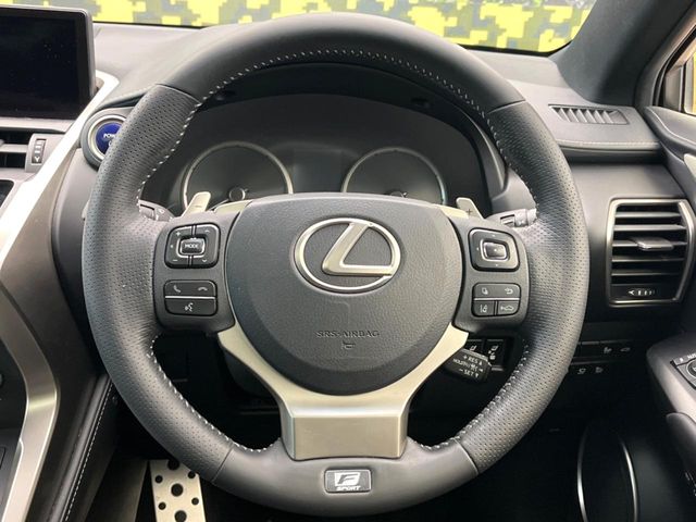 Lexus NX 11