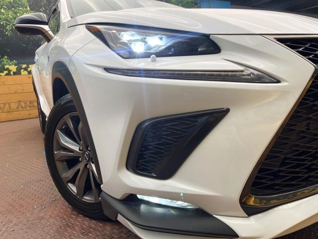 Lexus NX 12