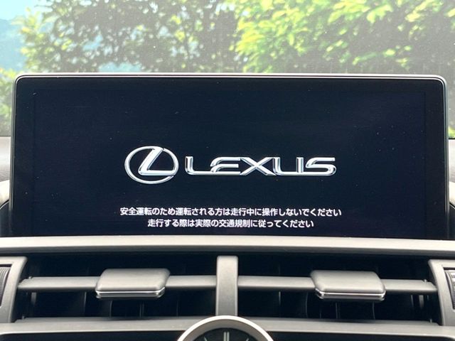 Lexus NX 4