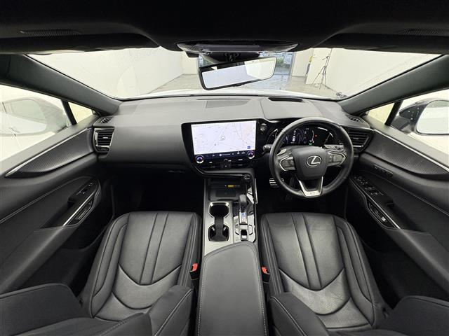 Lexus NX 4