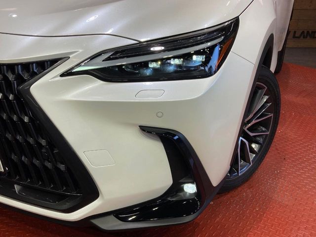 Lexus NX 12