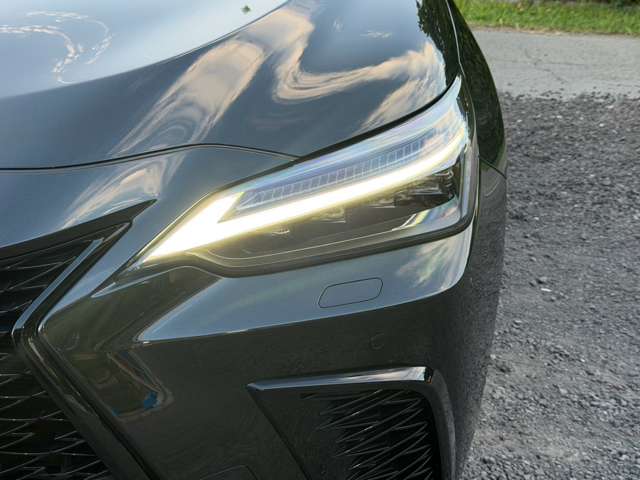 Lexus NX 7