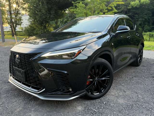 Lexus NX 9