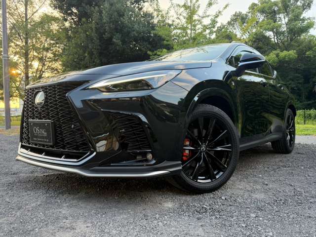 Lexus NX 10