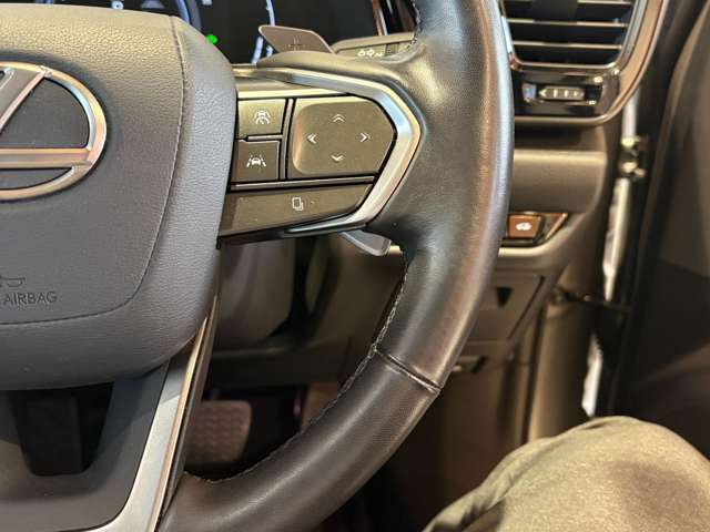 Lexus NX 11