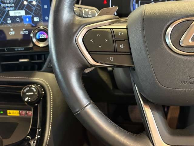 Lexus NX 10