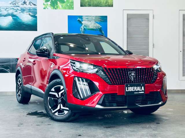 Peugeot SUV 2008 6