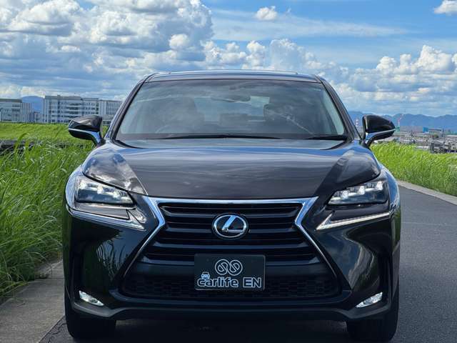 Lexus NX 11