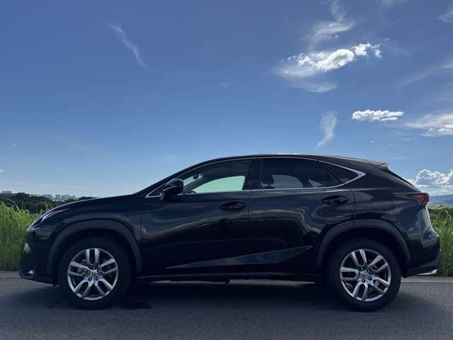Lexus NX 12