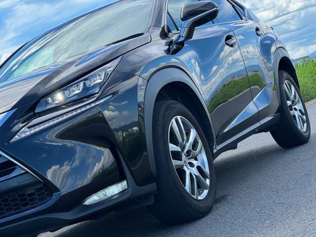 Lexus NX 8