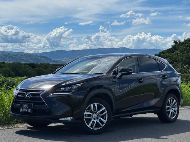 Lexus NX 9