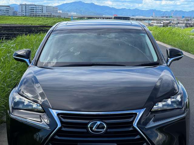 Lexus NX 10
