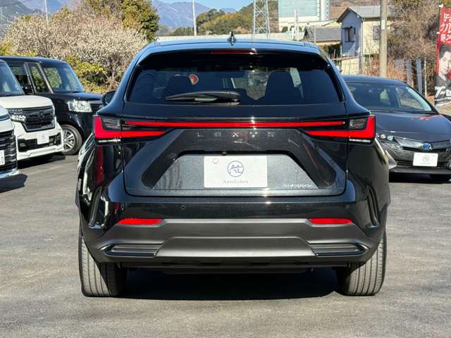 Lexus NX 11