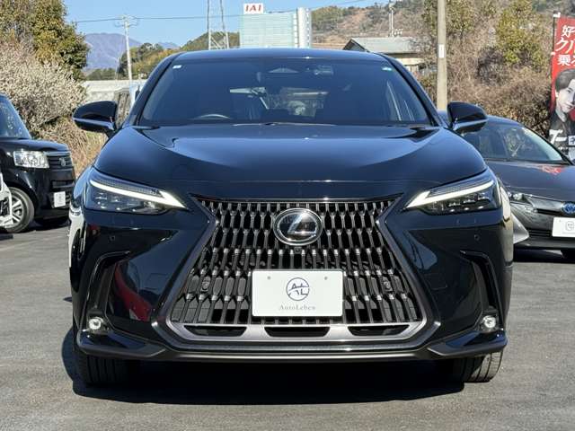 Lexus NX 3