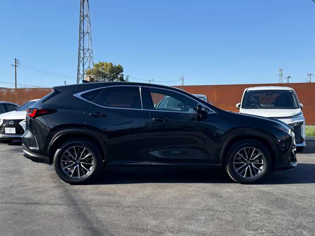 Lexus NX 7