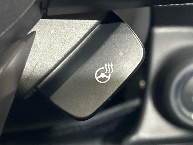 Subaru Crosstrek 6