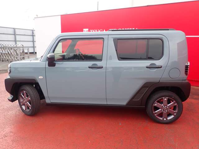 Daihatsu Taft 8