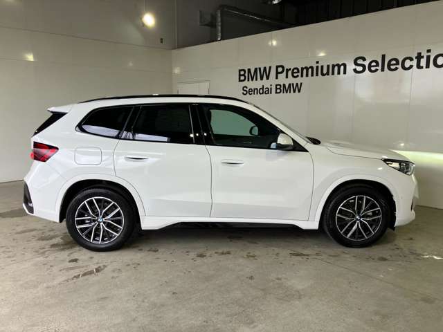 BMW X1 8
