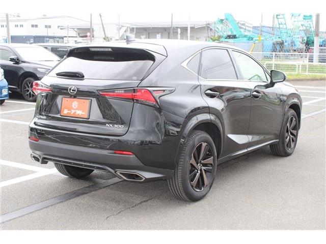 Lexus NX 11