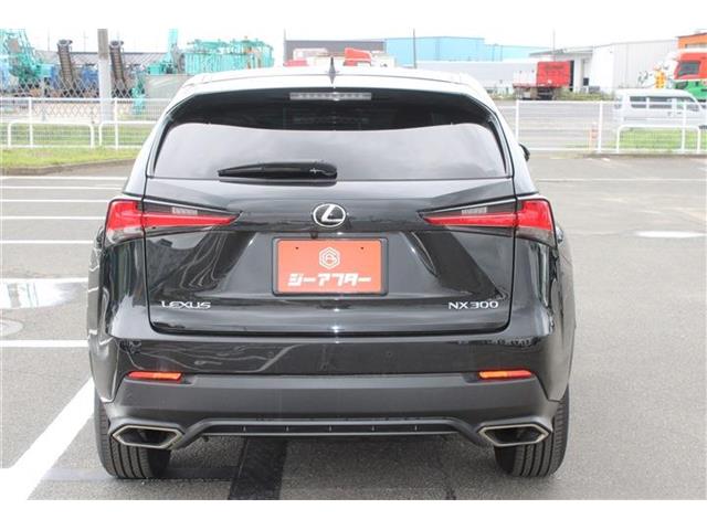 Lexus NX 12