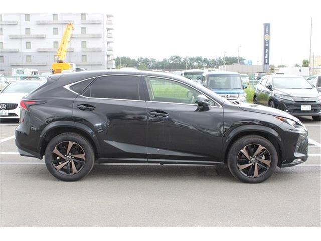 Lexus NX 10