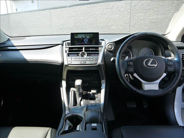 Lexus NX 11
