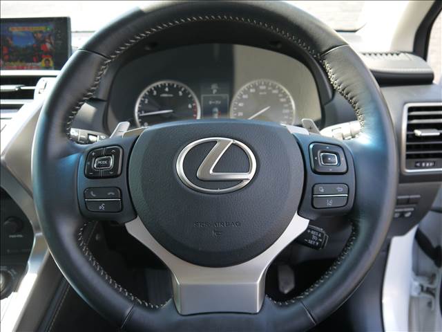 Lexus NX 12