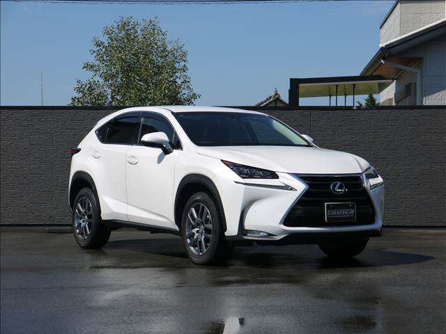 Lexus NX 4