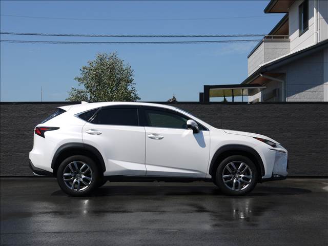 Lexus NX 6
