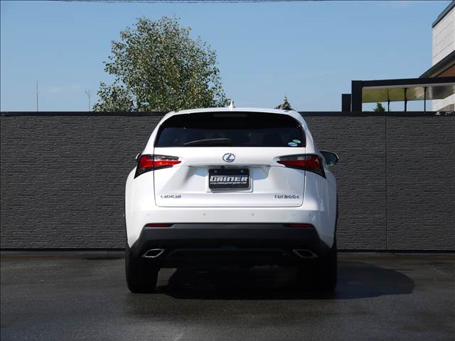 Lexus NX 8
