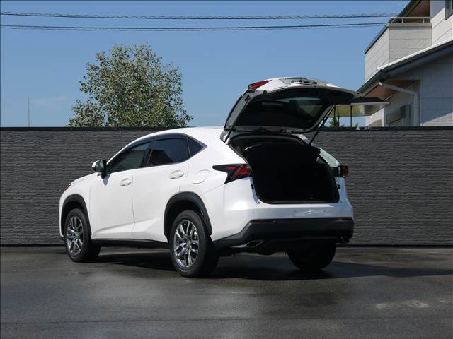 Lexus NX 10
