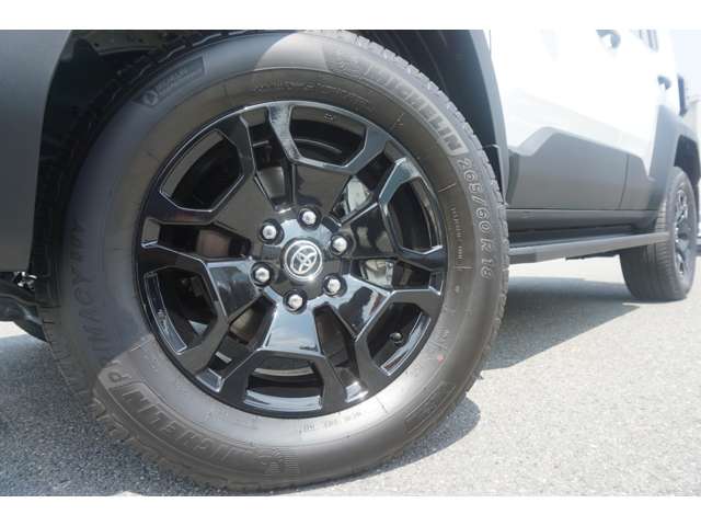 Toyota Land Cruiser FJ 12