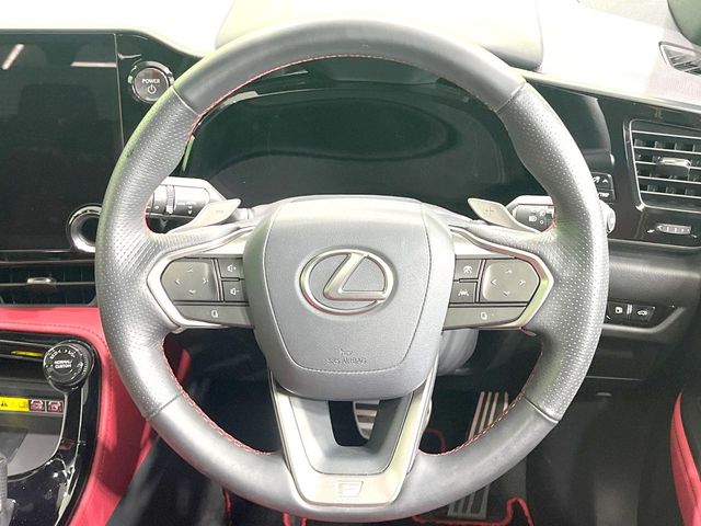 Lexus NX 12