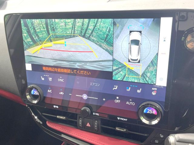 Lexus NX 5