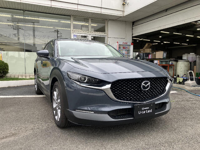 Mazda CX-30 6
