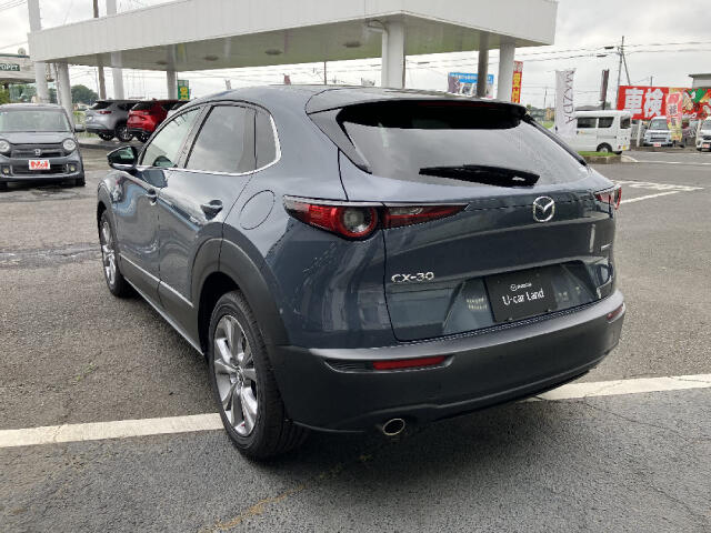 Mazda CX-30 10