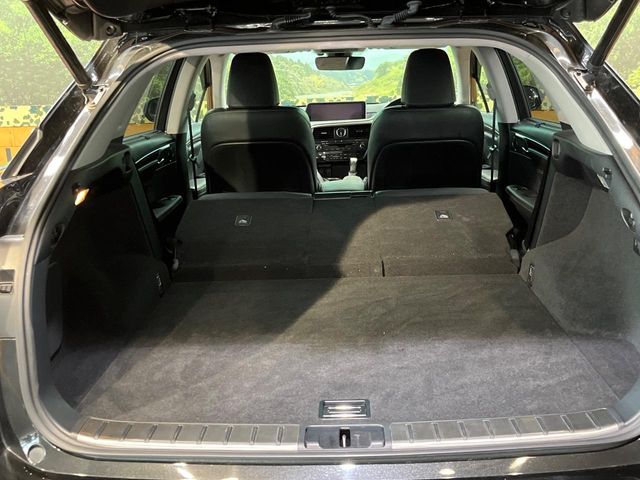 Lexus RX 10