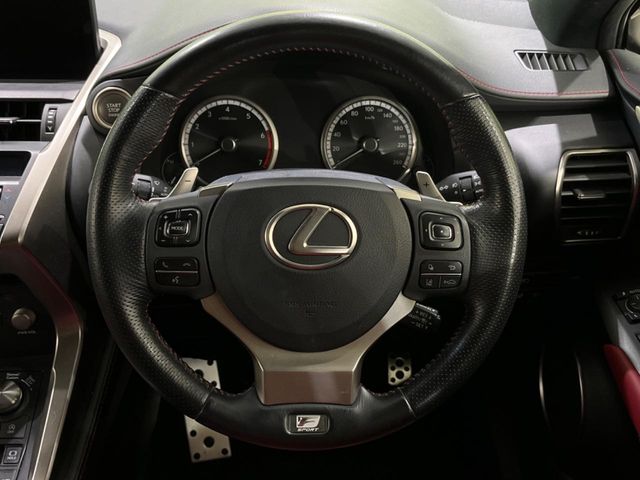 Lexus NX 11