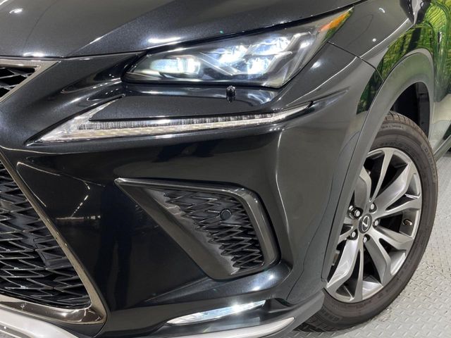 Lexus NX 12