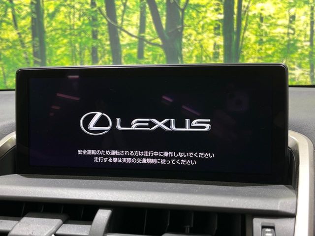 Lexus NX 3