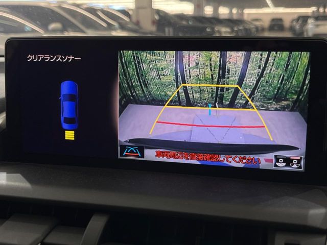 Lexus NX 4